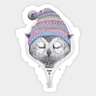 Owl in a hood Sticker